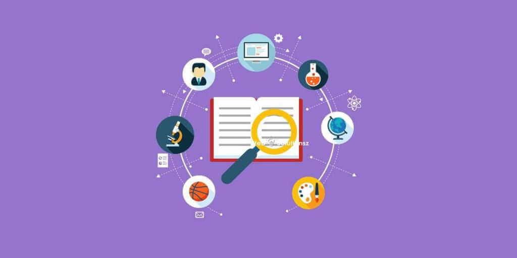 professional website development
