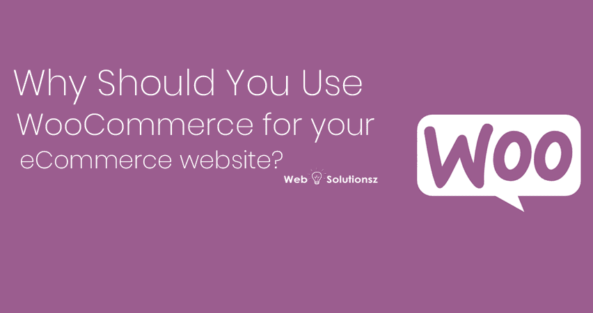 WooCommerce for your eCommerce website
